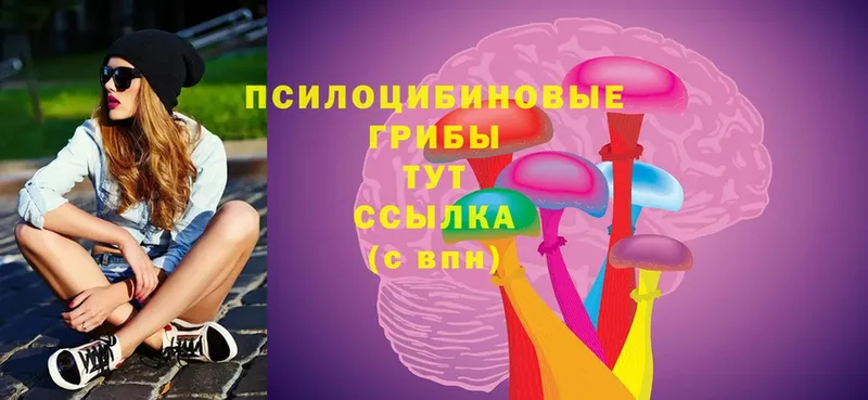 Галлюциногенные грибы Cubensis  Белоозёрский 